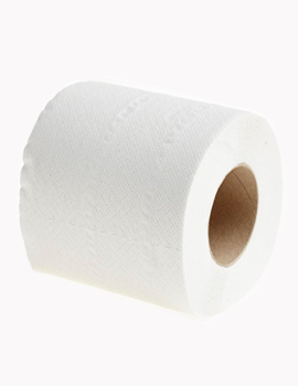 Standard Toilet Roll 2 Ply 200 Sheets White 9 x 4